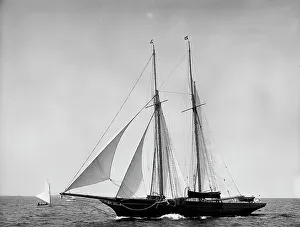 Lady Evelyn, 1899 July 29. Creator: Johns Johnston