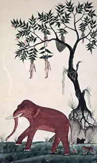 Thailand Southeast Asia Prints: Lady fruits & elephant. c.1824