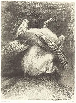 Imagination Prints: L'Aile impuissante n'eleva point la bete en ces noirs espaces (The impotent wing did not lift)