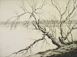 Hardie Martin Prints: The lake, 1941. Creator: Martin Hardie