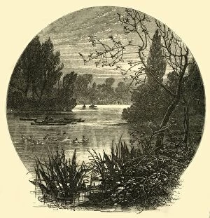 Wandsworth Collection: The Lake, Battersea Park, (c1878). Creator: Unknown