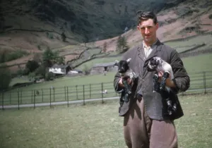 Lake District Sheep Farmer, c1960. Artist: CM Dixon