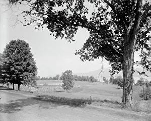 Club House Prints: Lake George Country Club, golf links on Lake George