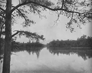 Archipelago Gallery: Lake of the Isles, Thousand Islands, c1897. Creator: Unknown