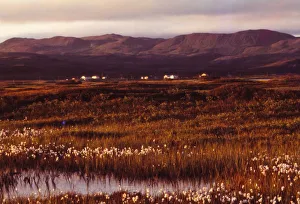 Lake Myvatn, Iceland, 20th century. Artist: CM Dixon