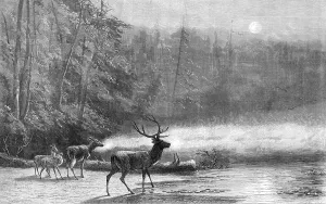 William Hollidge Prints: Lake Scene - Early Morning, by Mr. Wust, 1871. Creator: William Hollidge