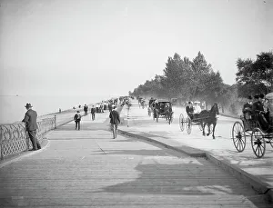 Illinois United States Prints: Lake Shore Drive, Lincoln Park, Chicago, Ill. c1905. Creator: Unknown