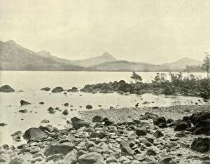 Tasmania Gallery: At Lake St. Clair, 1901. Creator: Unknown