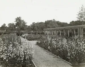Lantern Slides 1910 1920 Gmgpc Prints: Lake Terrace, John Stoughton Newberry