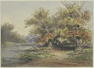 Shore Prints: Lakeshore with tall trees, 19th century. Creator: Hermann Baisch