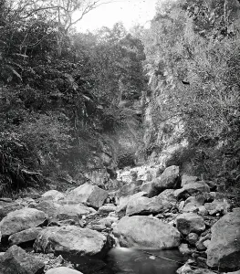 Lalung, Formosa (Taiwan), 1871. Creator: John Thomson