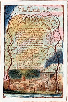 Innocent Gallery: The Lamb, illustration from Songs of Innocence and of Experience. c1770-1820. Artist: William Blake