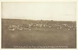 The Lambing Camp, 1894. Creator: Laton Alton Huffman