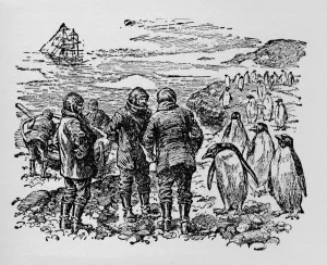 Polar Exploration Collection: Landed on a small island inhabited by myriads of penguins, c1918