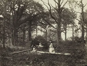 Henry White Prints: Landscape, 1856. Creator: Henry White (British, 1819-1903)