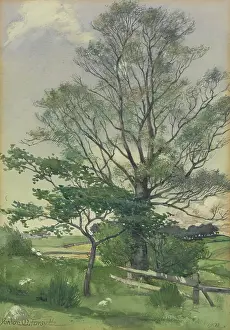 1902 Prints: Landscape, 1902. Creator: Gordon Mitchell Forsyth