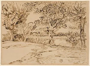 Gogh Vincent Van Prints: Landscape at Arles, July 1888. Creator: Vincent van Gogh