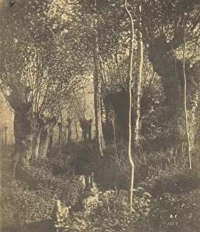 Nord Pas De Calais Gallery: [Landscape, Arras], 1852. Creator: Adalbert Cuvelier