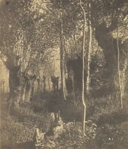 [Landscape, Arras], 1852. Creator: Adalbert Cuvelier