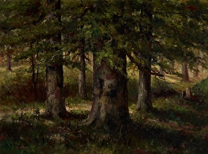 Beech Tree Prints: Landscape with Beech Trees, date unknown, c1900-1940. Creator: Edward Sitzman