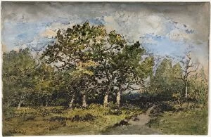 Narcisse Diaz De La Peña Gallery: Landscape, c. 1860. Creator: Narcisse Diaz de la Pena (French, 1807-1876)