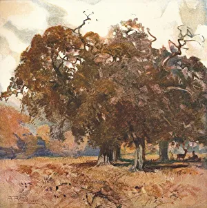 Monotype Gallery: Landscape, c1904. Artist: Albert Henry Fullwood