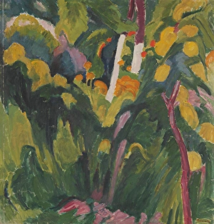 Jungle Prints: Landscape, c1910-1940. Creator: Henri Ramah