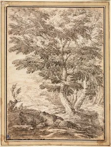 Bologna Gallery: Landscape with Clump of Trees, 17th century. Creator: Unknown