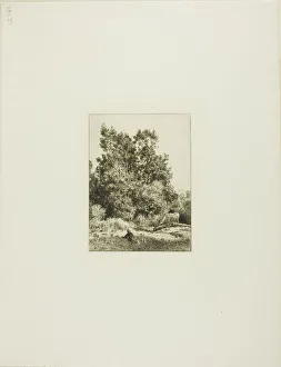 Landscape with Cowherd, c. 1865. Creator: Charles Emile Jacque