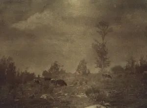 Landscape Photographs 1900 Gmgpc Prints: Landscape of cows grazing in a rocky field, c1900. Creator: Unknown