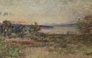 Marsh Prints: Landscape. Creator: Alfred Wahlberg