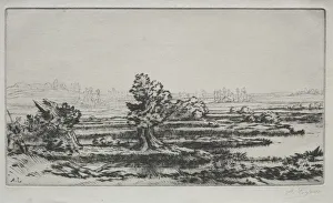 Landscape. Creator: Alphonse Legros (French, 1837-1911)