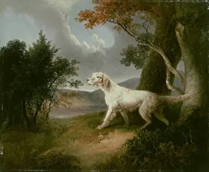 Hunting Dog Collection: Landscape with Dog, 1832. Creator: Thomas Doughty