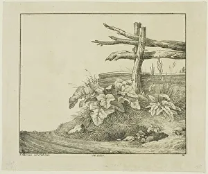 Lorenz Ekemann Alesson Prints: Landscape with Flora and Rustic Fence near Roadside, n.d. Creator: Lorenz Ekemann Alesson