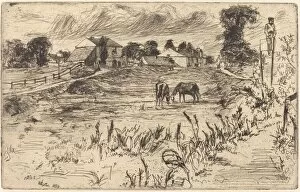 Etching On Laid Paper Gallery: Landscape with the Horse, 1859. Creator: James Abbott McNeill Whistler