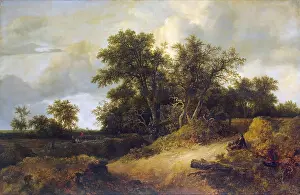 1640s Prints: Landscape with a House in the Grove, 1646. Creator: Jacob van Ruisdael