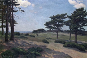 Pines Prints: Landscape from Hvaler, 1899. Creator: Lars Martin Eriksen