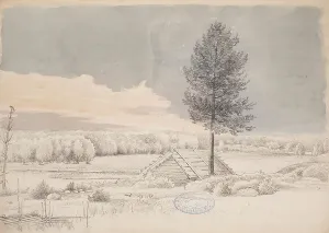 Scots Pine Prints: Landscape from Kirkkonummi, 1850-1859. Creator: Magnus von Wright