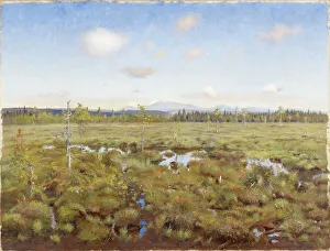 Lapland Europe Prints: Landscape from Lapland, 1892. Creator: Torsten Wasastjerna