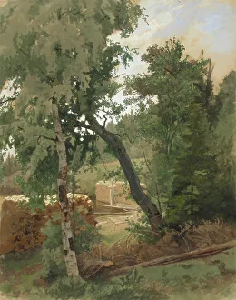 Gustaf Werner Holmberg Prints: Landscape from Leppalahti, 1859. Creator: Werner Holmberg