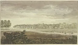 Wheat Prints: Landscape, a long grove in the background