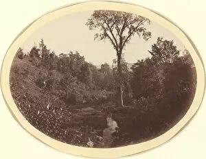 College Collection: Landscape near Williams College, c. 1870. Creator: George K Warren