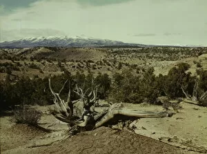 Dead Collection: Landscape, Northeast Utah, 1942. Creator: John Vachon