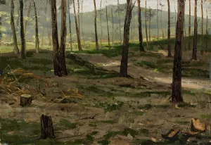 Landscape from Rath, 1880. Creator: Victor Westerholm