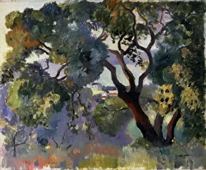 Provence Collection: Landscape in Saint-Tropez, 1905. Artist: Henri Manguin