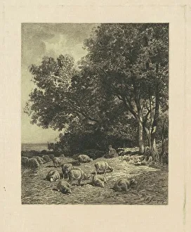 Jacque Charles Emile Prints: Landscape with Sheep, 1879. Creator: James David Smillie
