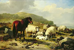 Pony Prints: Landscape with Sheep, c1820-1880. Creator: Eugene Verboeckhoven