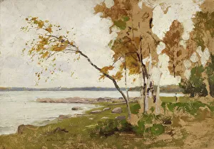 Victor Axel Werterholm Prints: Landscape Study, 1885. Creator: Victor Westerholm