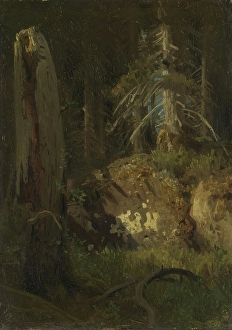 Decay Prints: Landscape Study with Decaying Trees, probably 1851. Creator: Herman August Cappelen