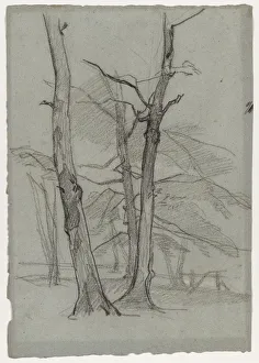 Landscape Study with Trees, c. 1870-1875. Creator: Thomas Couture (French, 1815-1879)